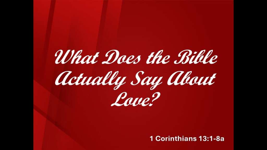 What’s Love Got To Do With It?